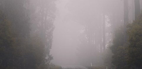 Autoweg met veel mist 