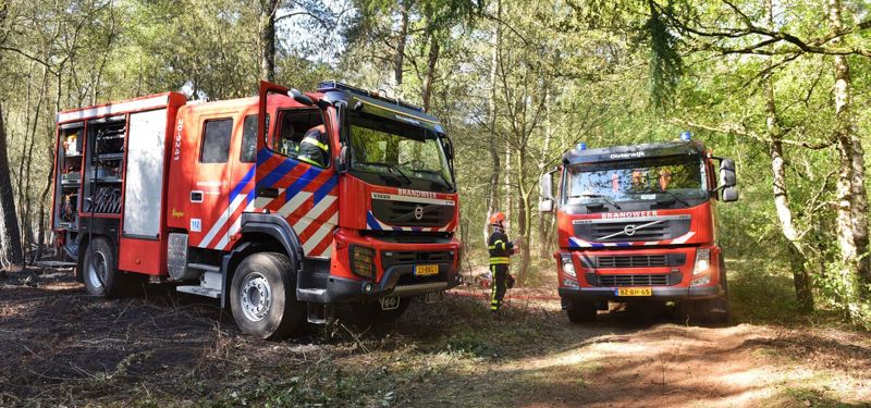 Brandweervoertuigen in het bos