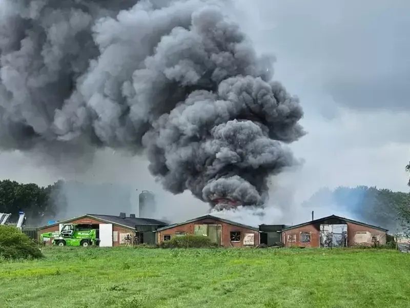 Grote rookwolk bij boerderij