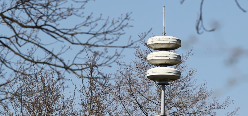 Waspaal met bomen op de achtergrond