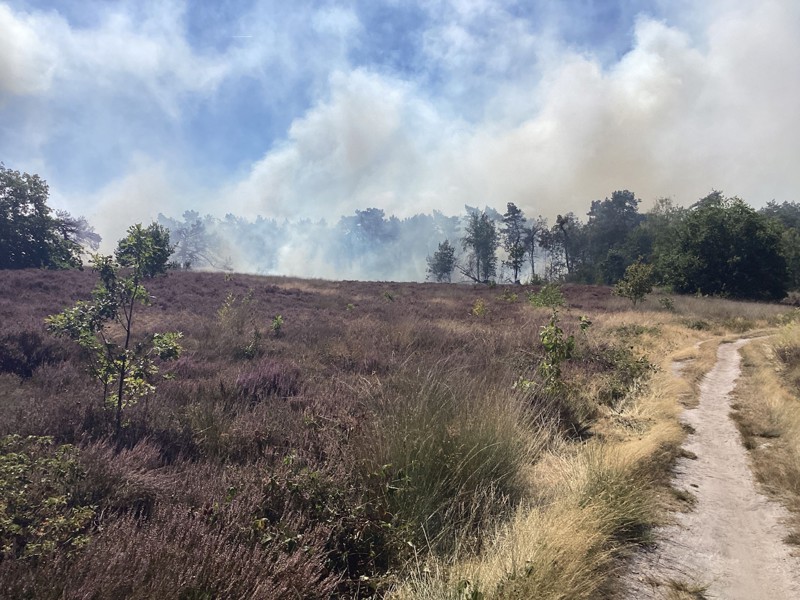 heide in brand